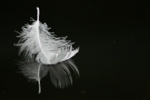 floating-feather